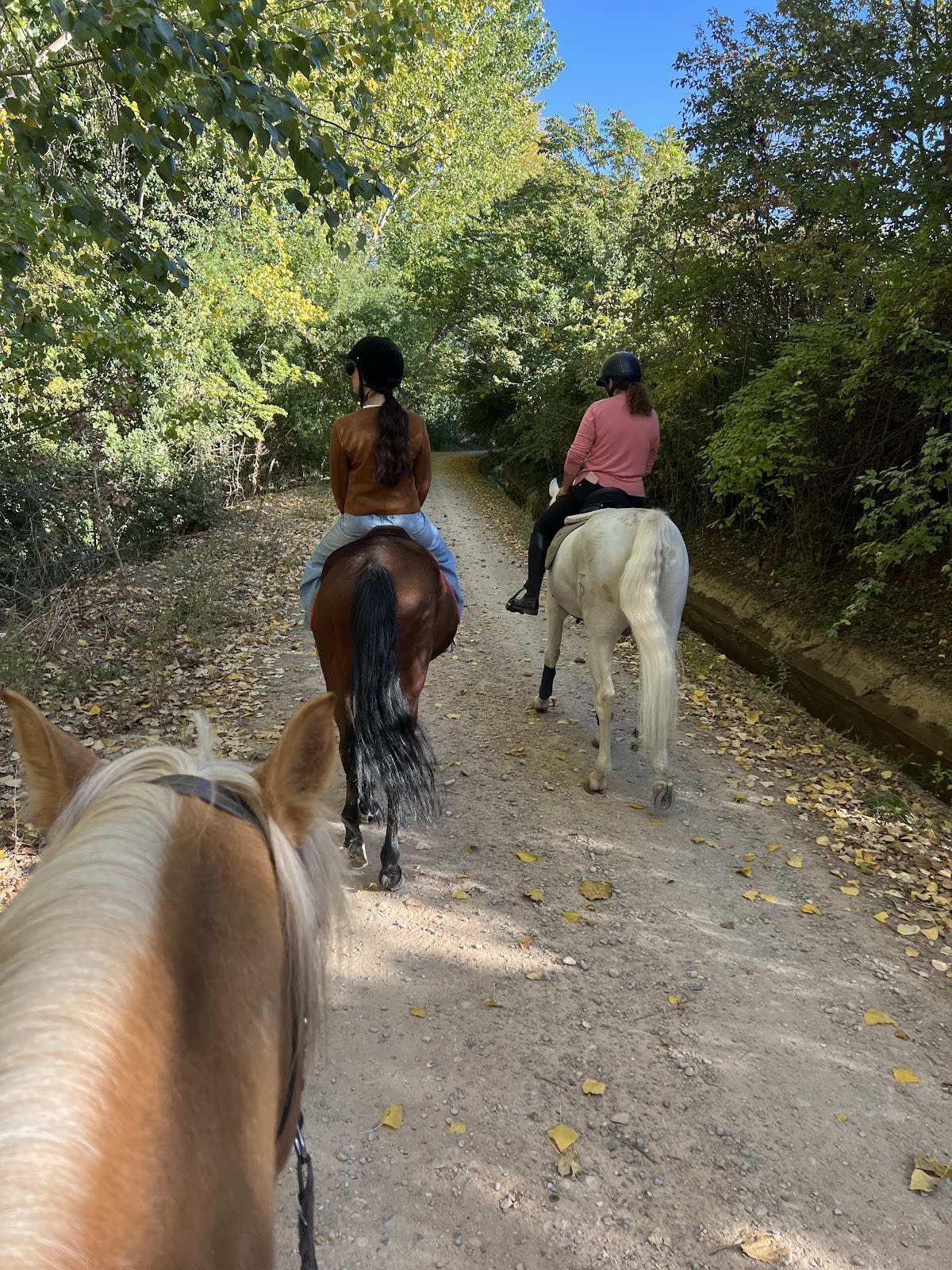Centro Hípico Las Majadas - Hipica em Cenicero