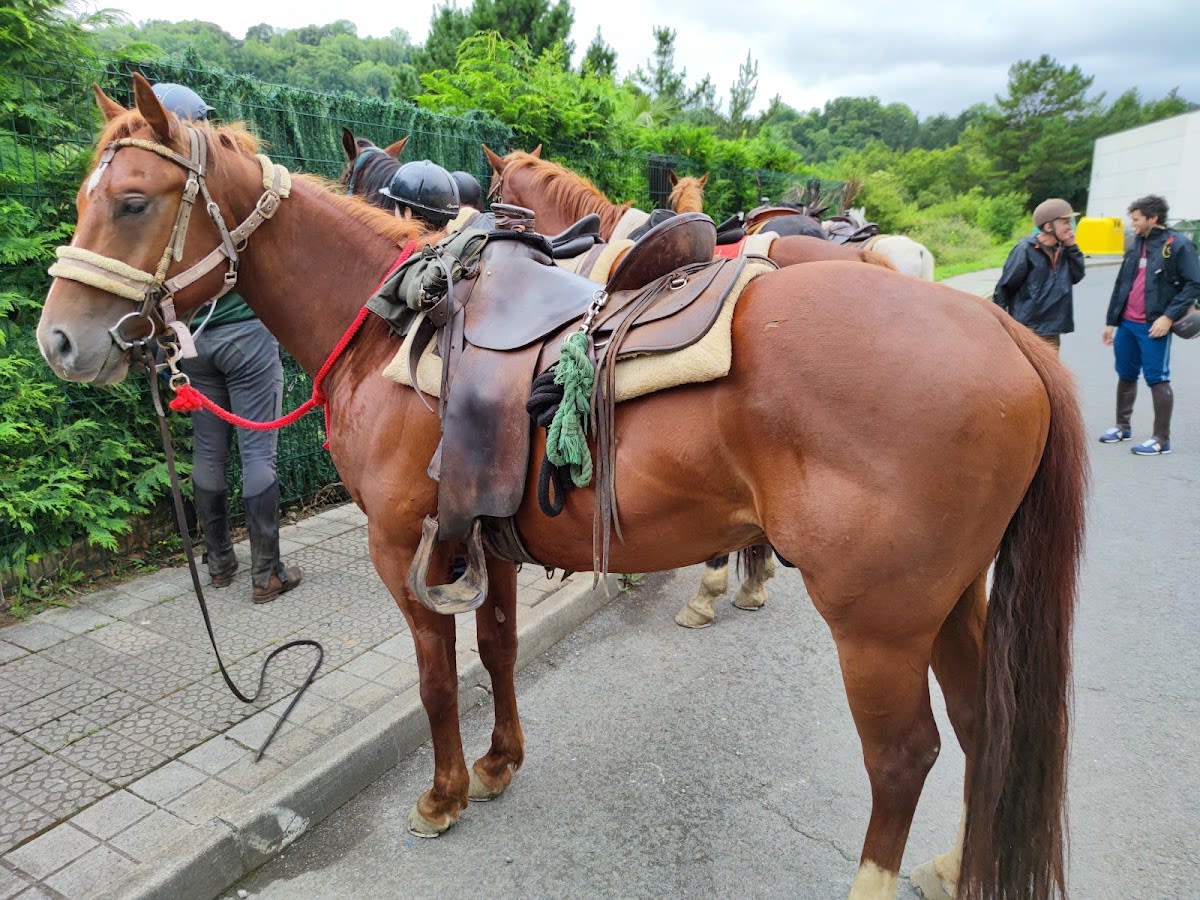 club ecuestre enkartado mendian zaldiz - Hipica em Sopuerta