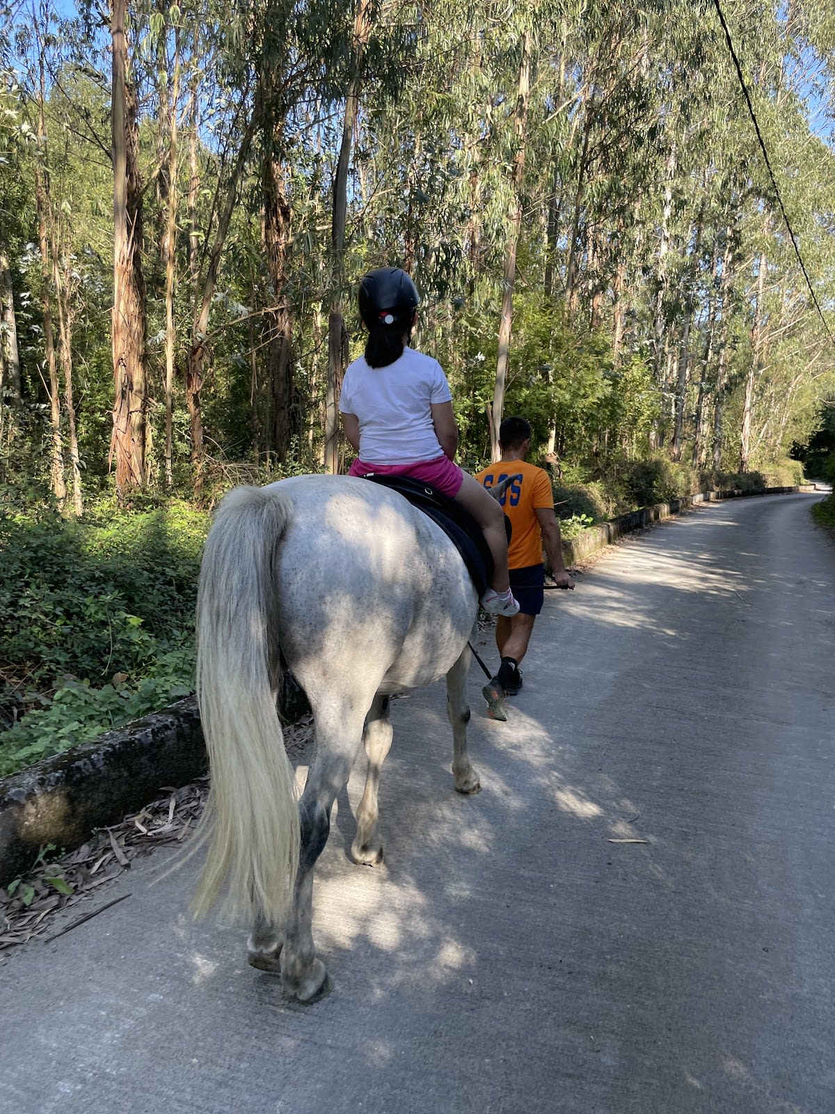 Terapia Asistida con Caballos Tipi-Tapa - Hipica em Gordexola