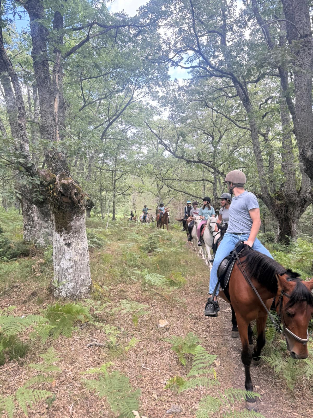 Hípica Gopegi - Hipica en Gopegi
