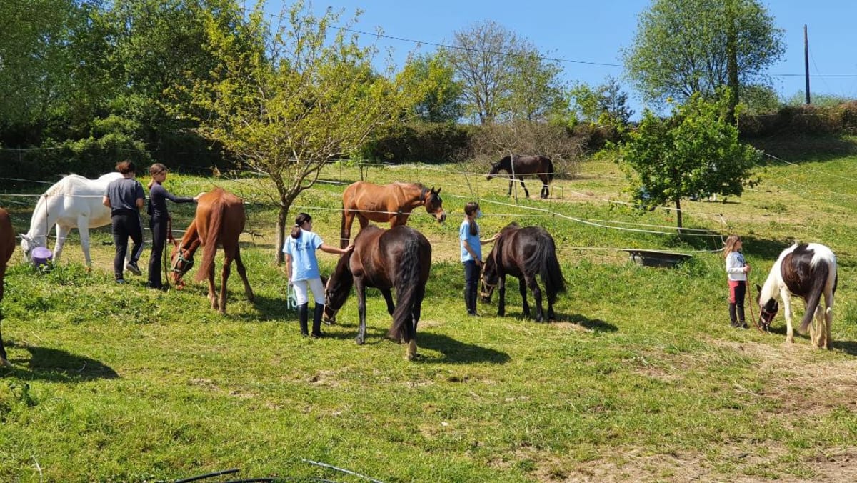 C.D. Hipika Butroi - Hipica en Gatika