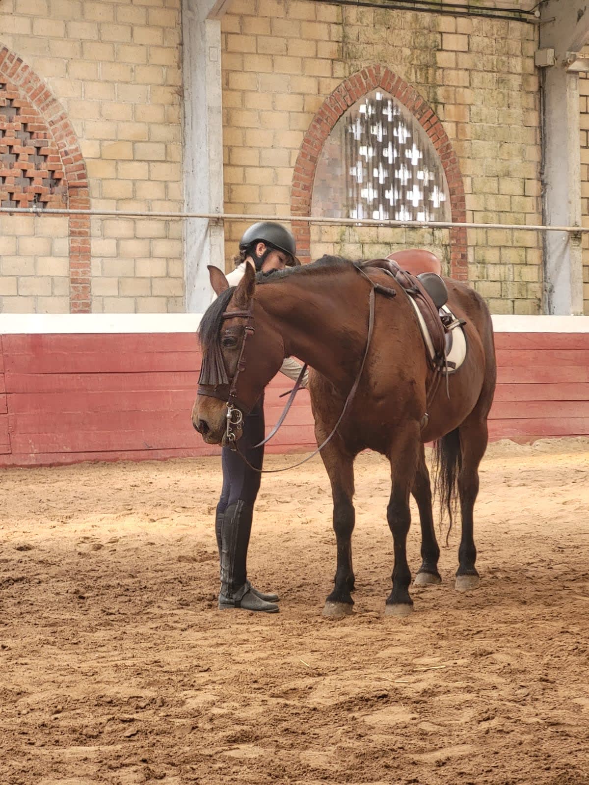 Caballerizas alcor - Hipica em Polígono Industrial Lantaron