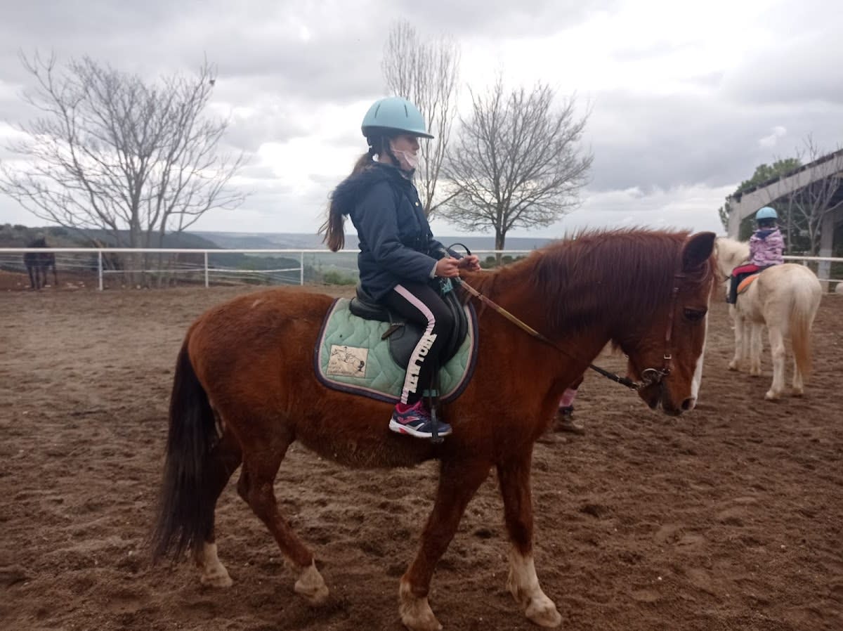 Club Hipico Guadalajara - Hipica em Horche