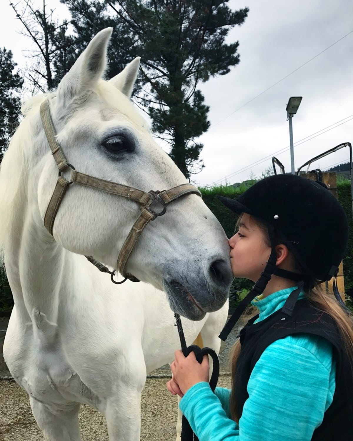 Listorreta Hipika - Hipica in Errenteria