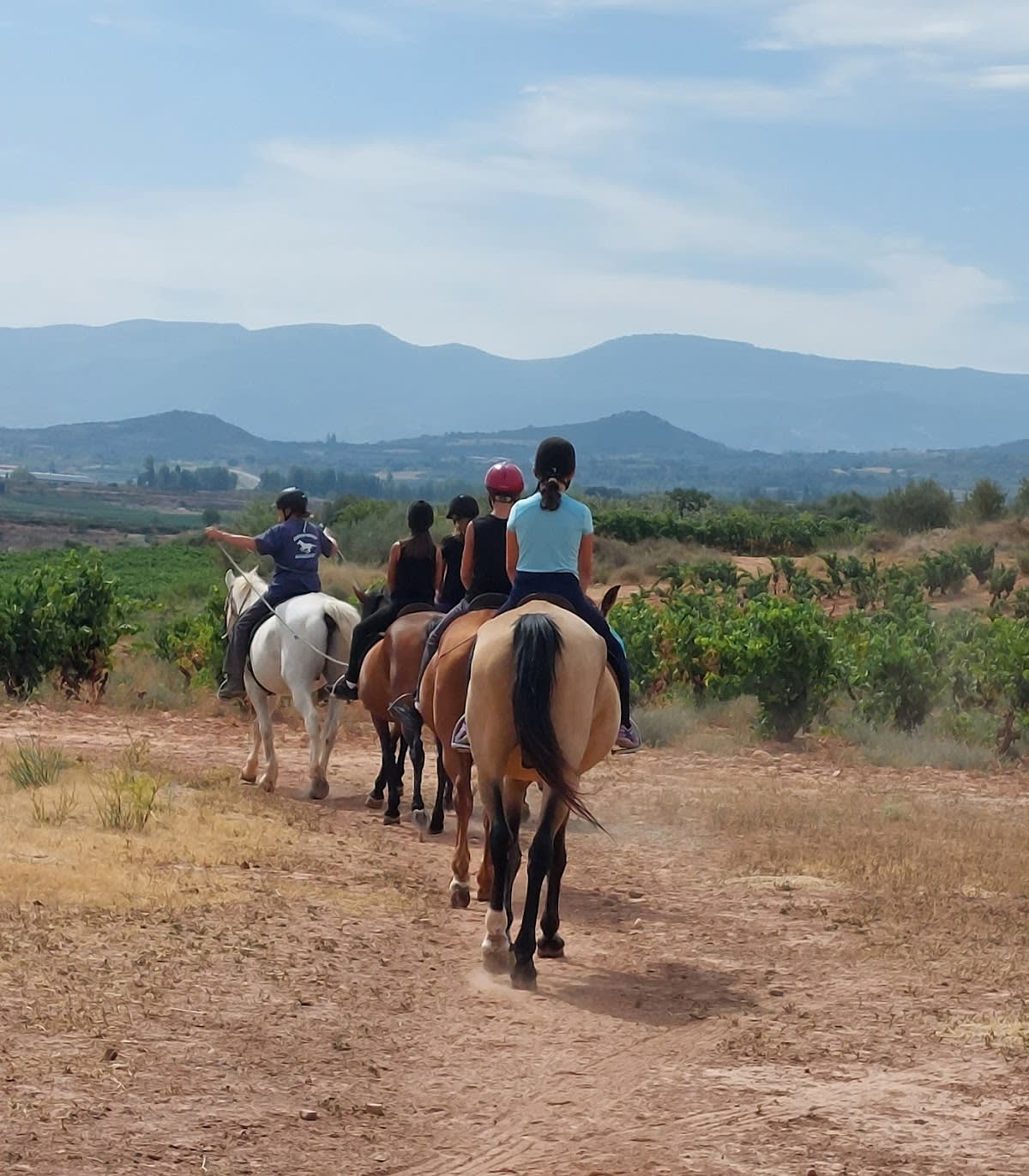 Centro Hípico Navarrete - Hipica em Navarrete