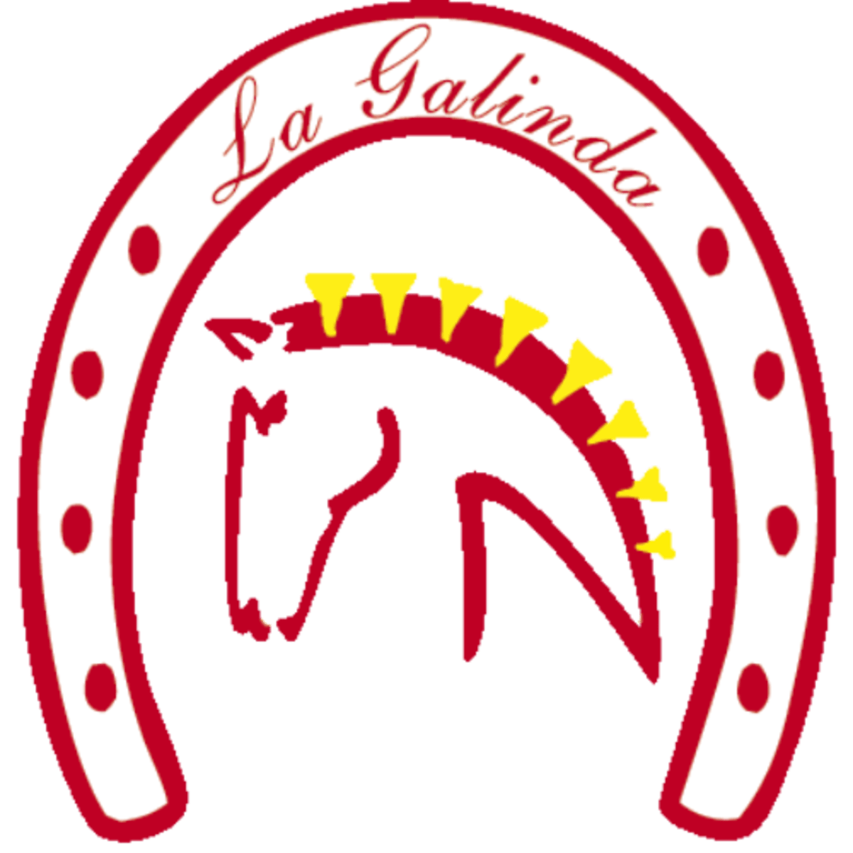 Horse Riding La Galinda - Hipica in Aranda de Duero