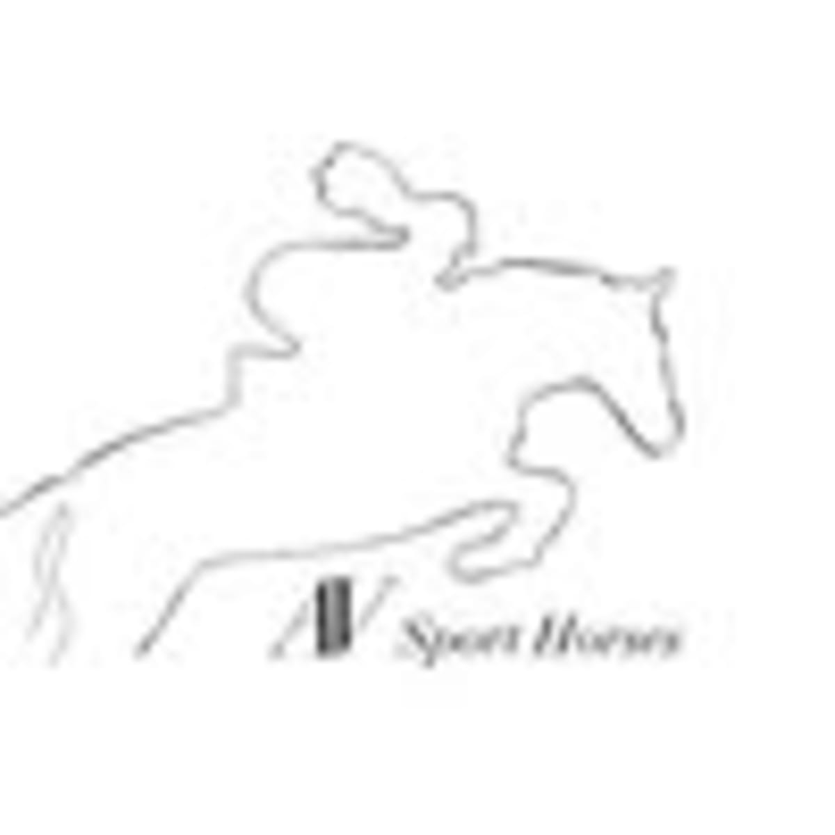 Centro Ecuestre Labiano - Hipica em Labiano