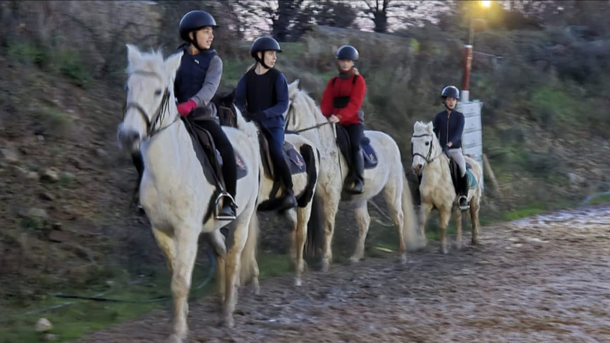 Real Sociedad Hipica de San Sebastian - Hipica en Donostia / San Sebastián