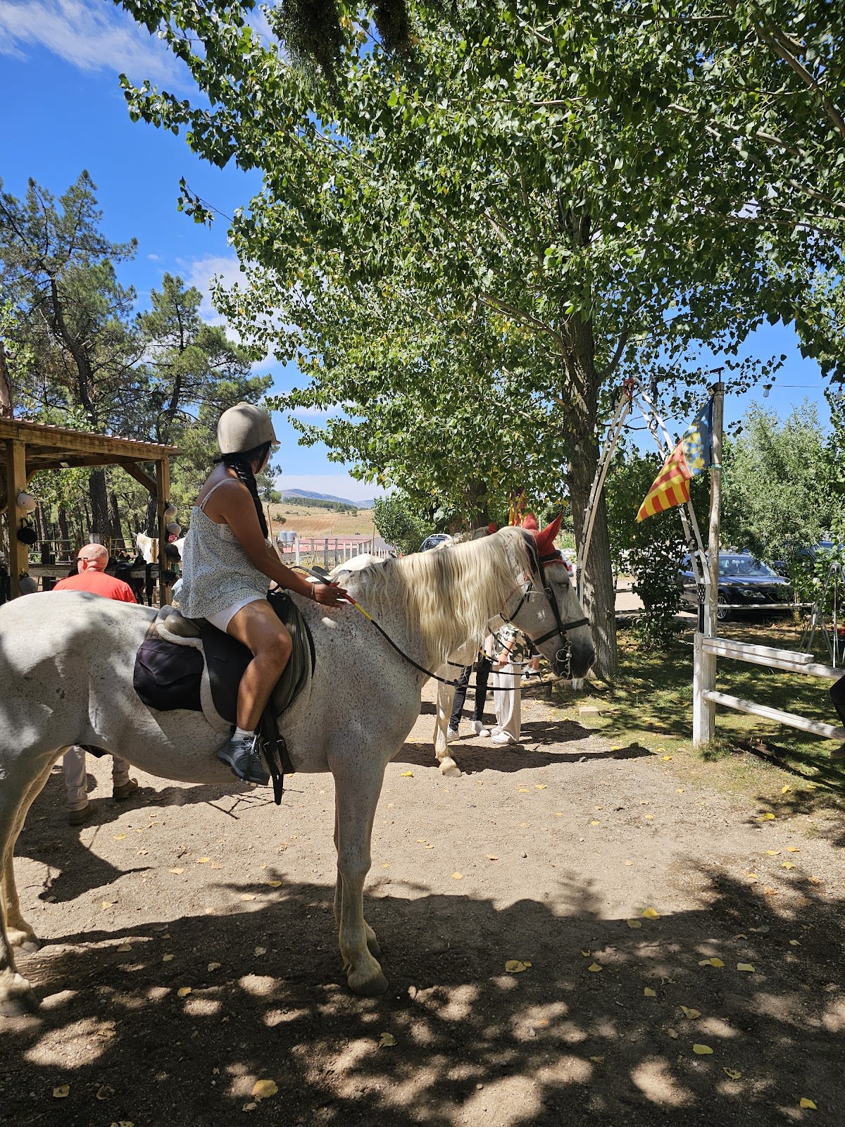 Cuadra Antares - Hipica en Garray