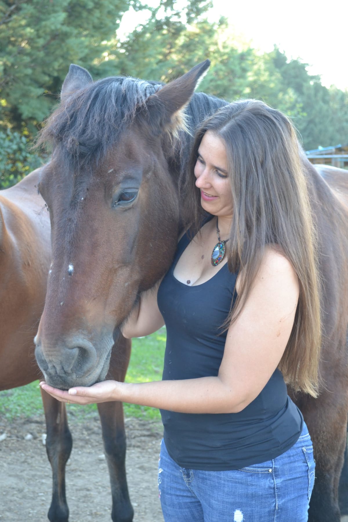 Corazón con caballos - Hipica a Labiano