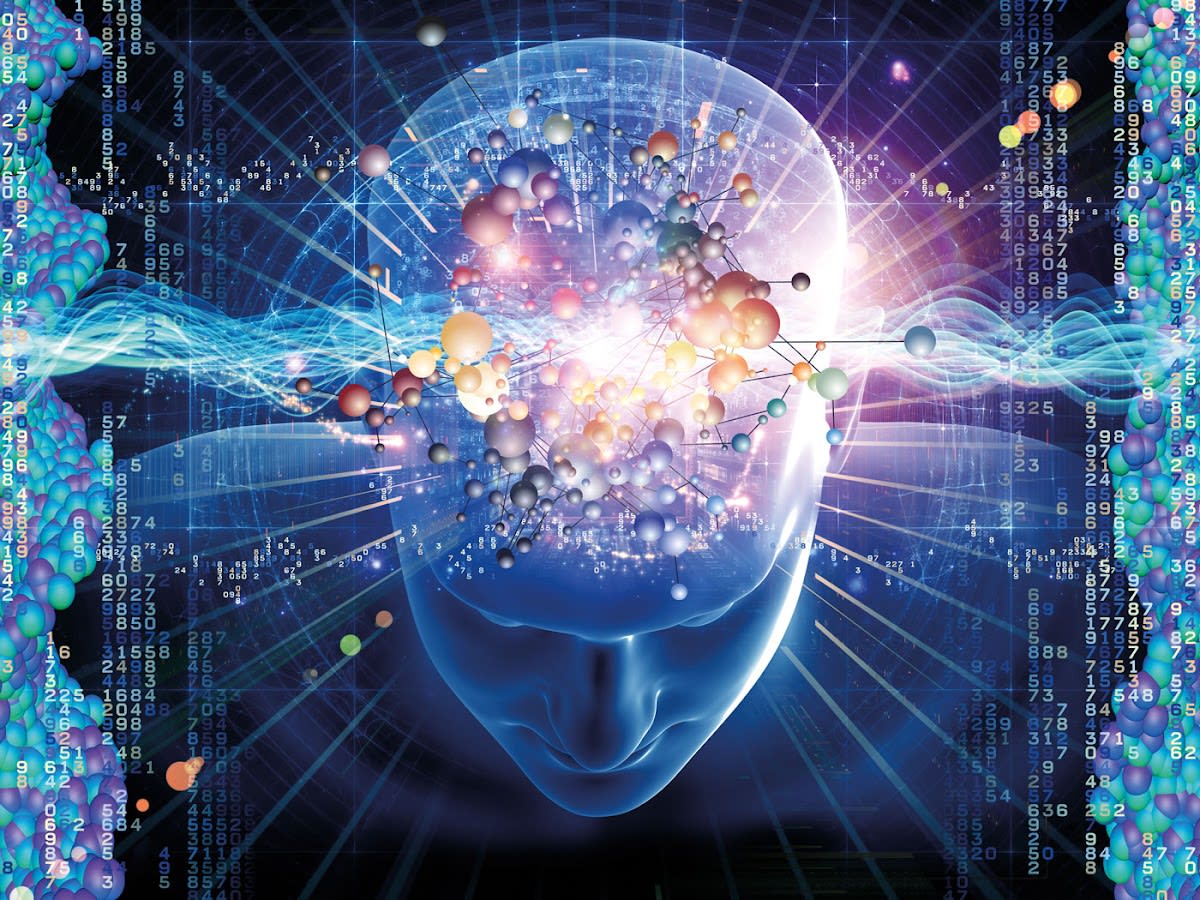 Centro de psicología PSINERGIKA | José Luis Pardo (psicólogo) - Hipica in Burgos