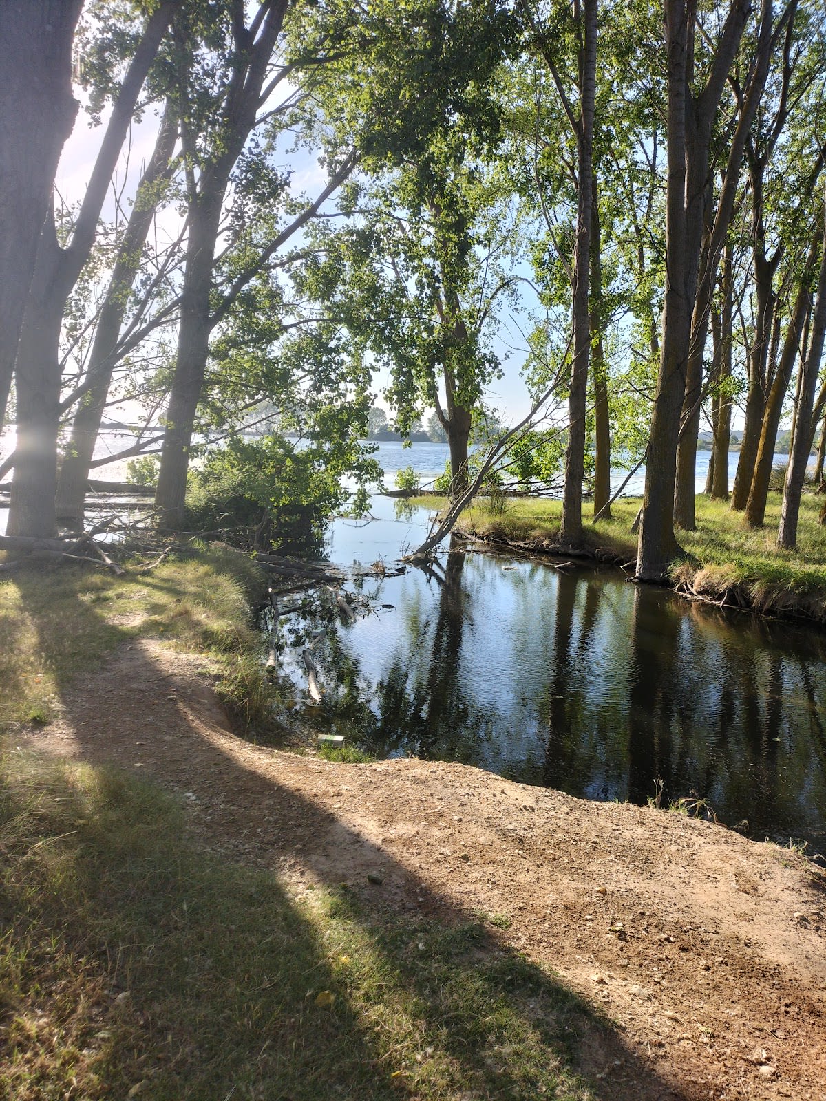 Hípica La Quinta del Viento - Hipica a Tudela