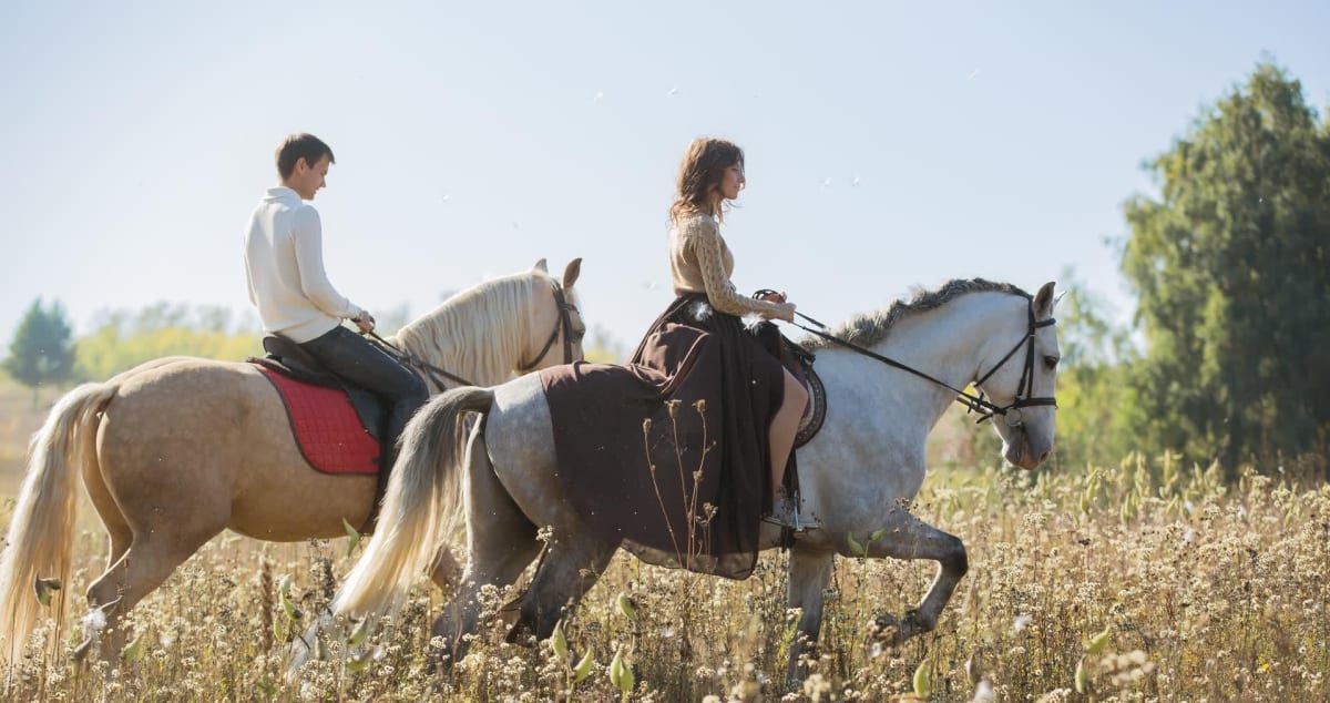 Bio Centro - Hipica in Cintruénigo