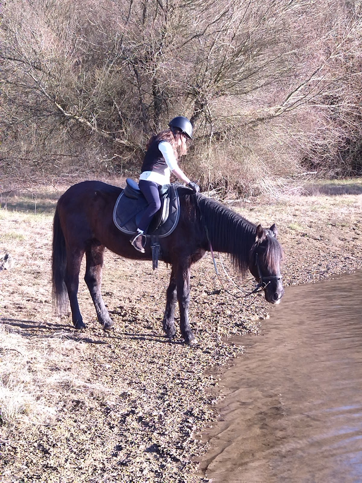 La Gloriosa - Hipica em Mendikoetxe