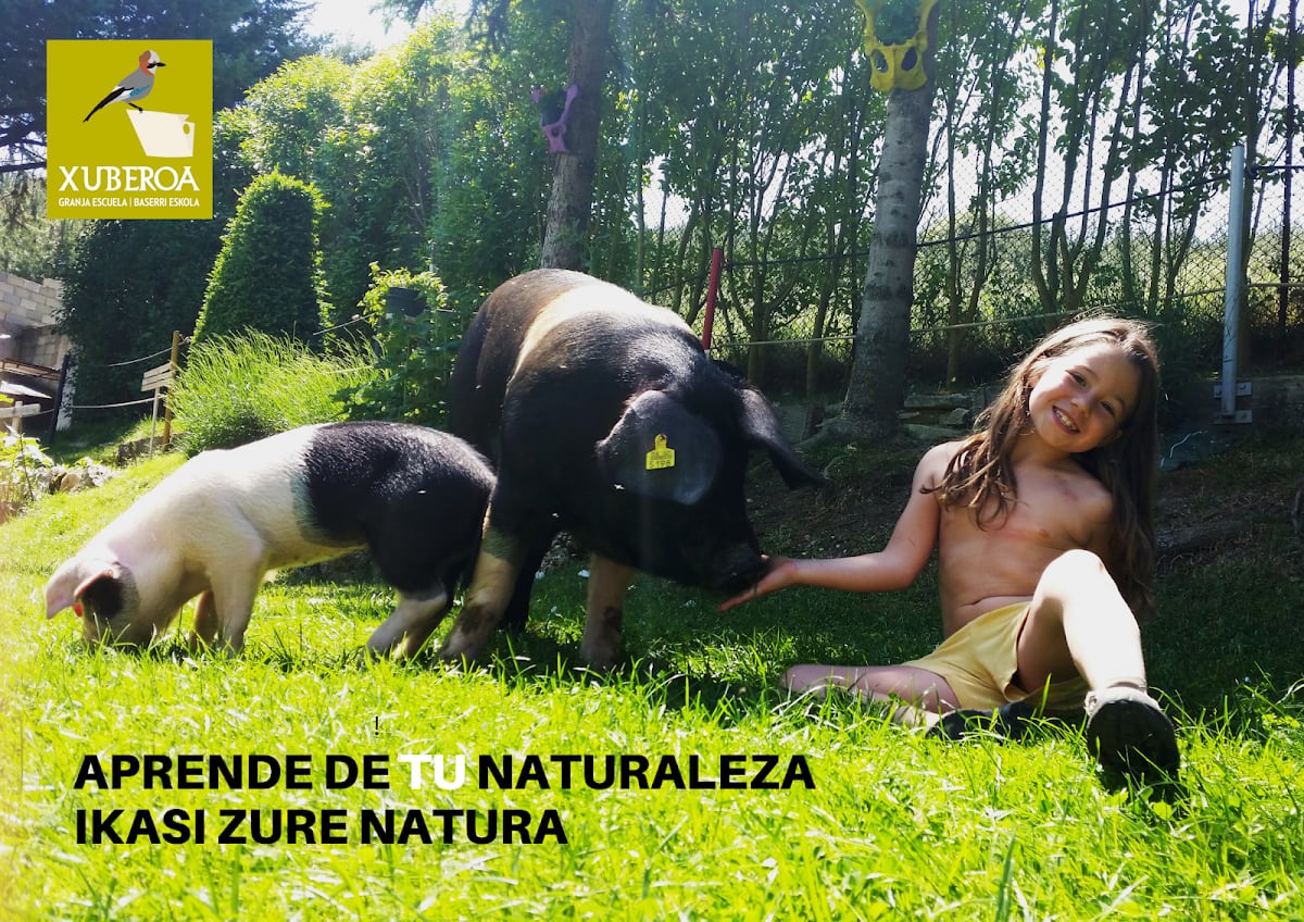 GRANJA ESCUELA XUBEROA - Hipica em Larráyoz