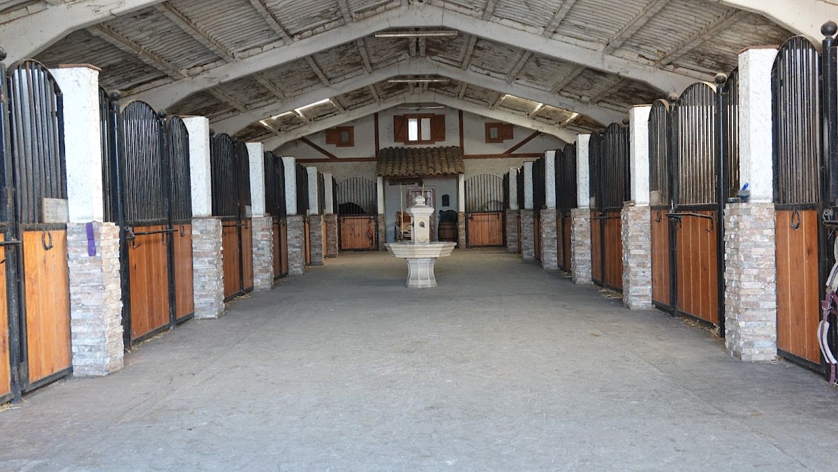 APM Iberian Horses - Hipica in Noáin