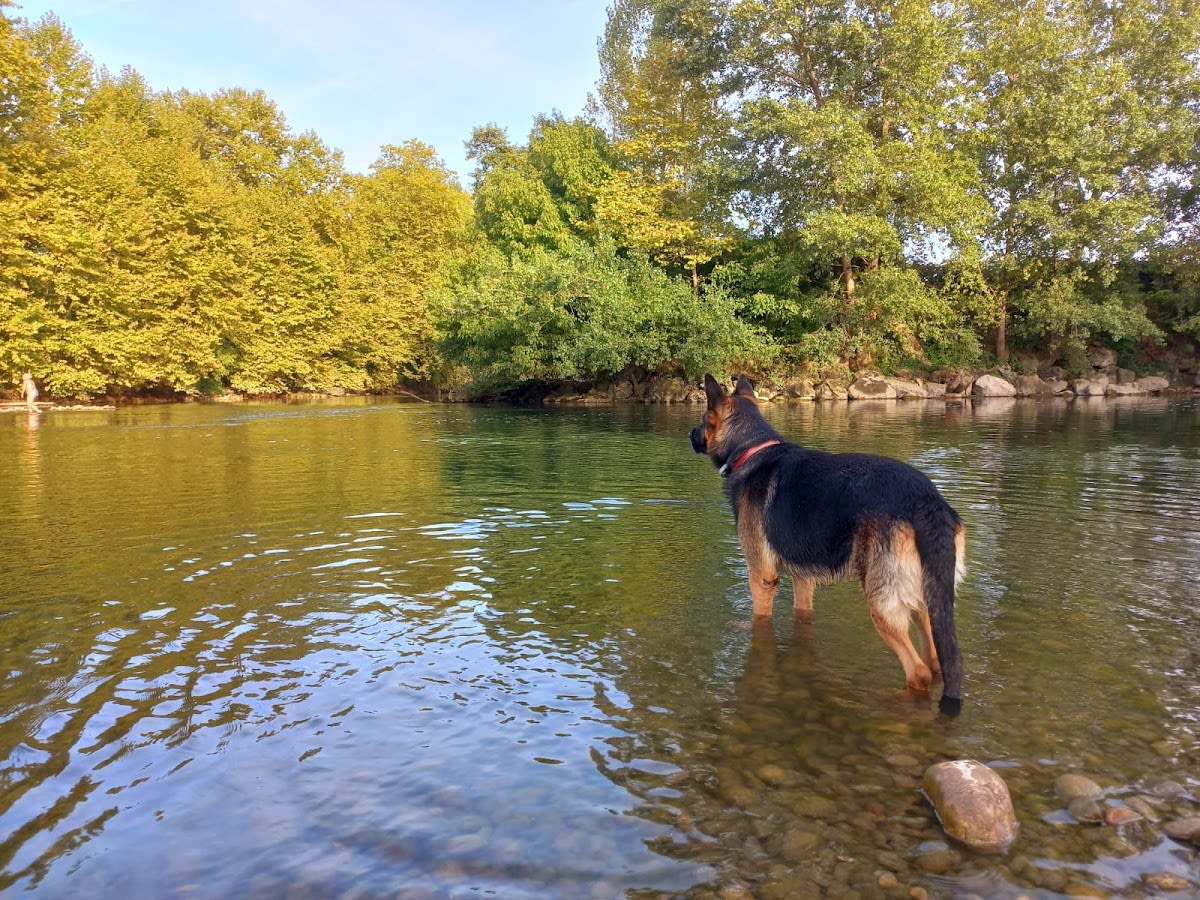 Ecurie Horse and Dog - Hipica in Saint-Cricq-du-Gave