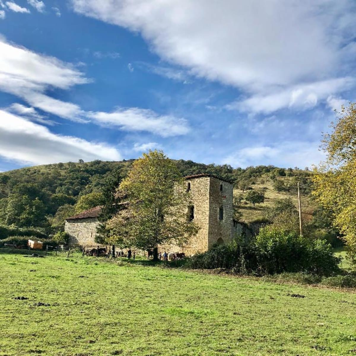 Farm Latsaga-Zalditokia - Hipica en Ostabat-Asme