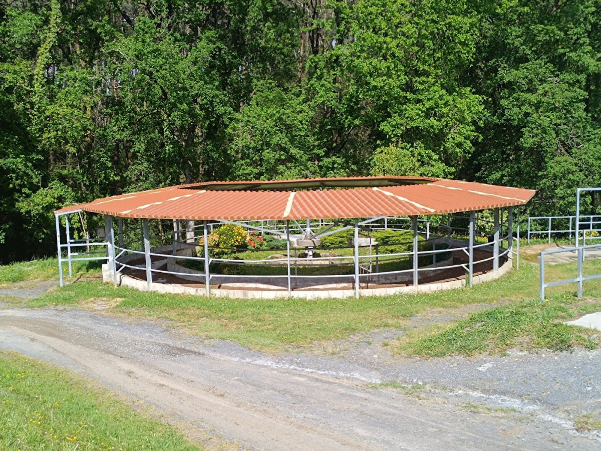 Yeguada Zabala - Hipica in Lezama