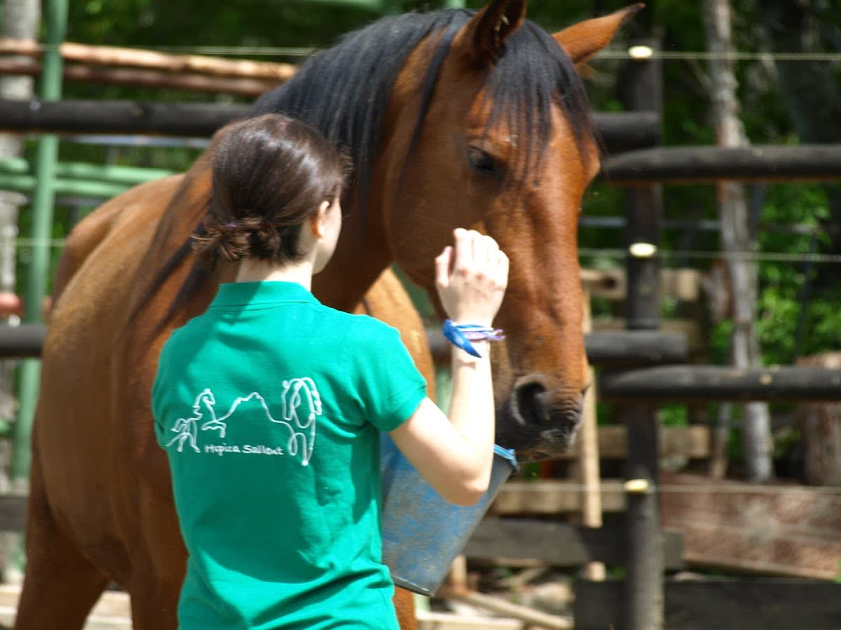 HIPICA SALLENT - Hipica en Sallent de Gállego