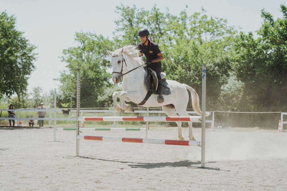 Hípica El Ventorrillo - Hipica in Barbastro
