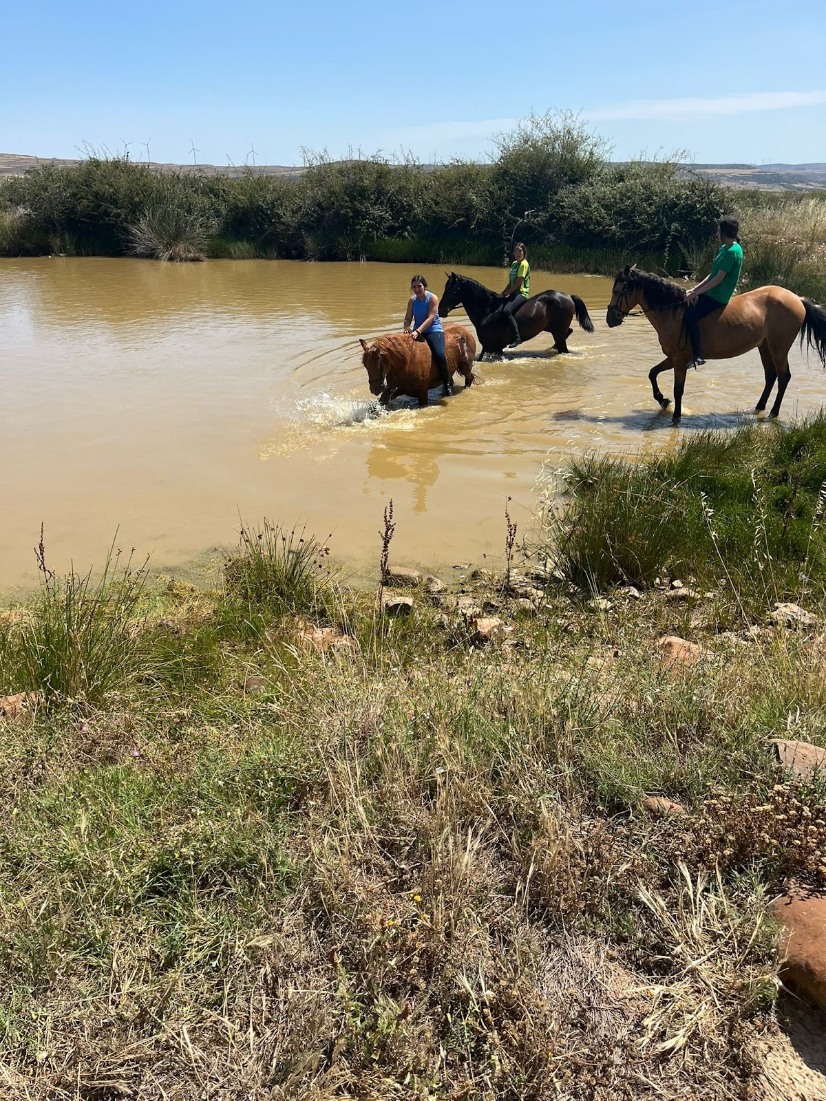 La Cuadra De Moncayo - Hipica en San Martín de la Virgen del Moncayo