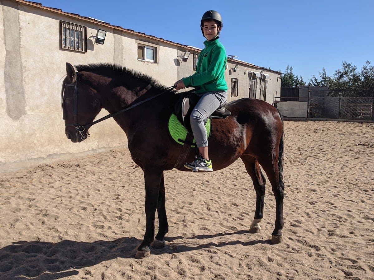 Hípica Jabelote - Hipica a Valdetorres de Jarama