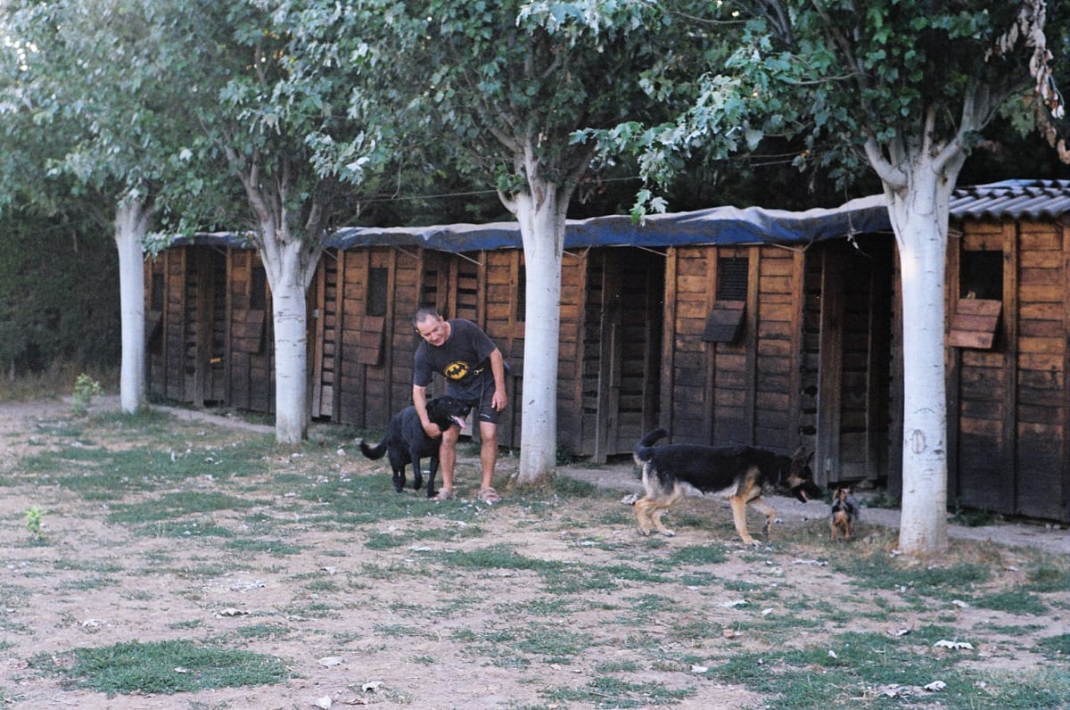 Escuela Adiestramiento los Galachos - Hipica en Zaragoza