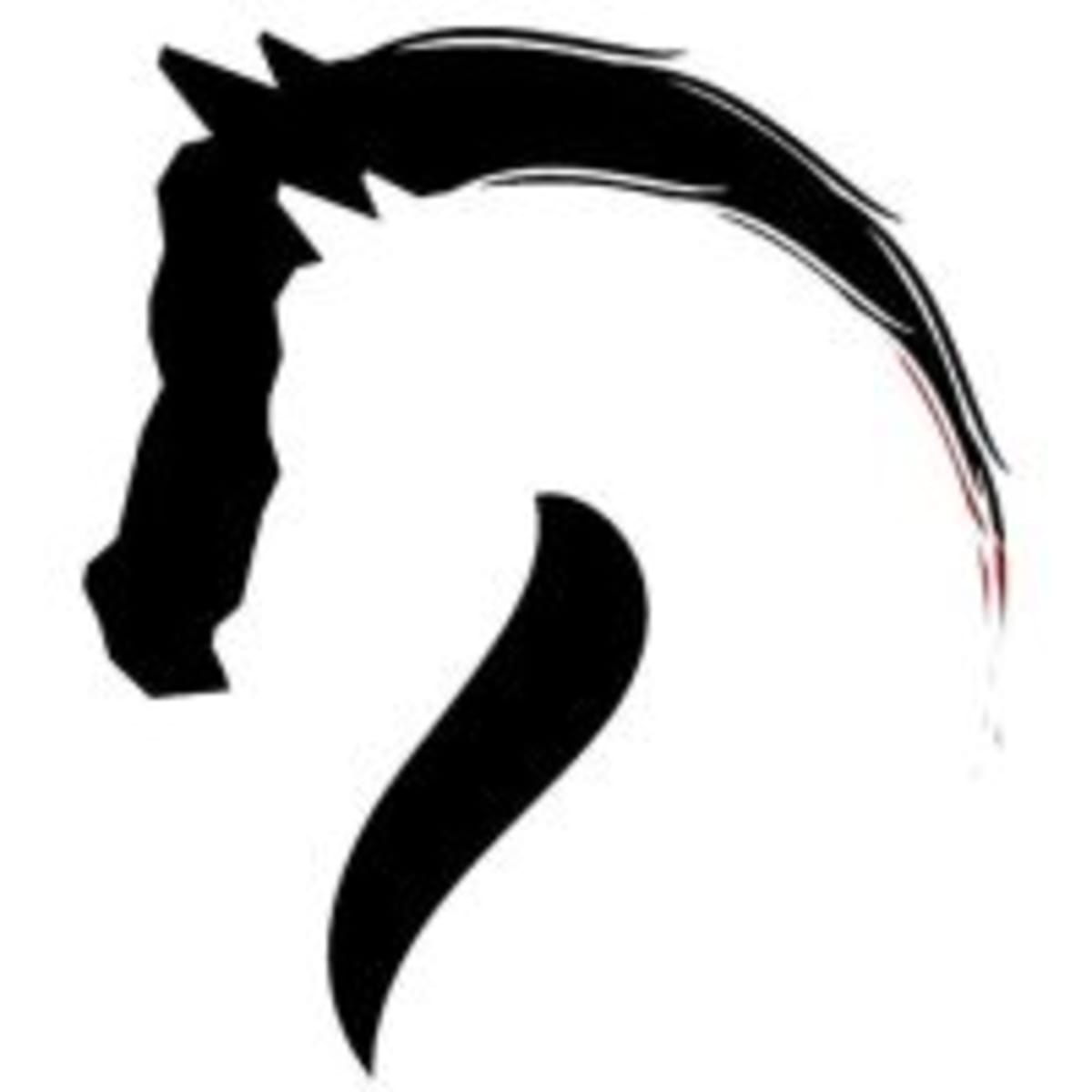 Club hipic sanuy - Hipica em Lleida