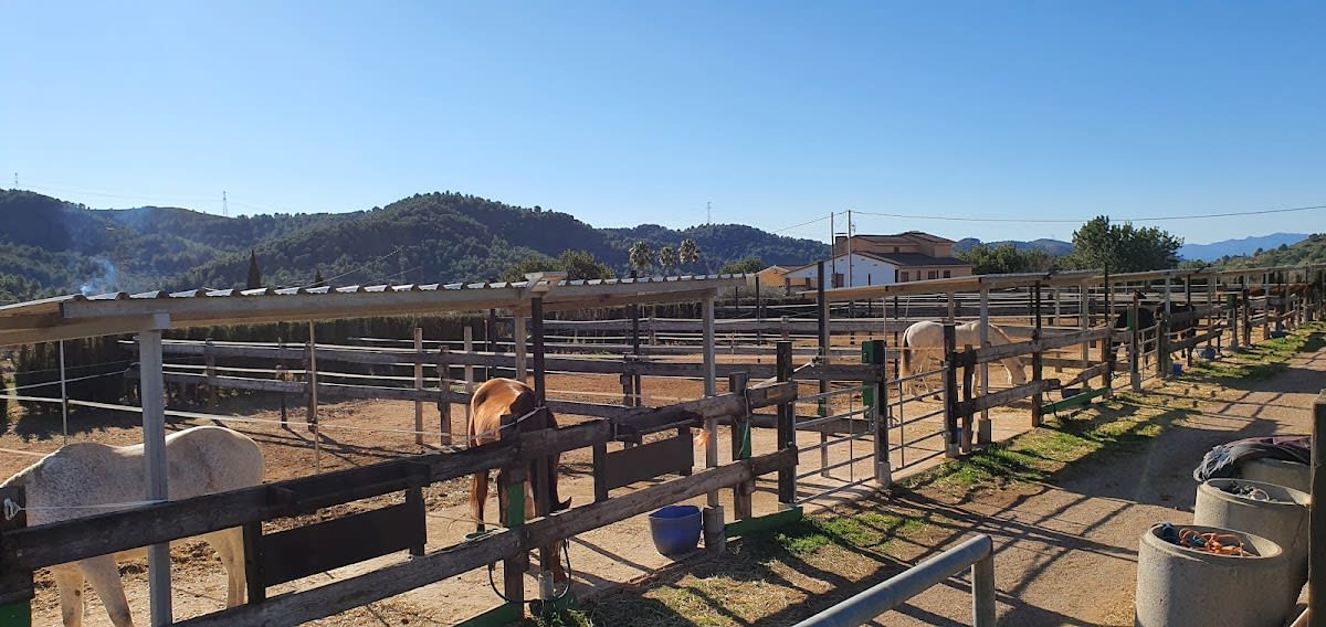 Hípica Bolívar | Hípica a Castelló | Granja Escola a Castelló - Hipica en Castelló