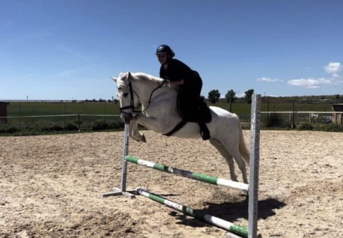 Hípica Cade - Hipica a Cabanillas del Campo