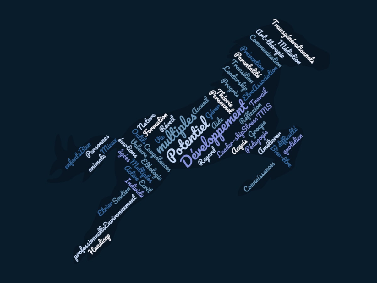 ASSOCIATION CHEVAL BLEU - Hipica en Lichos