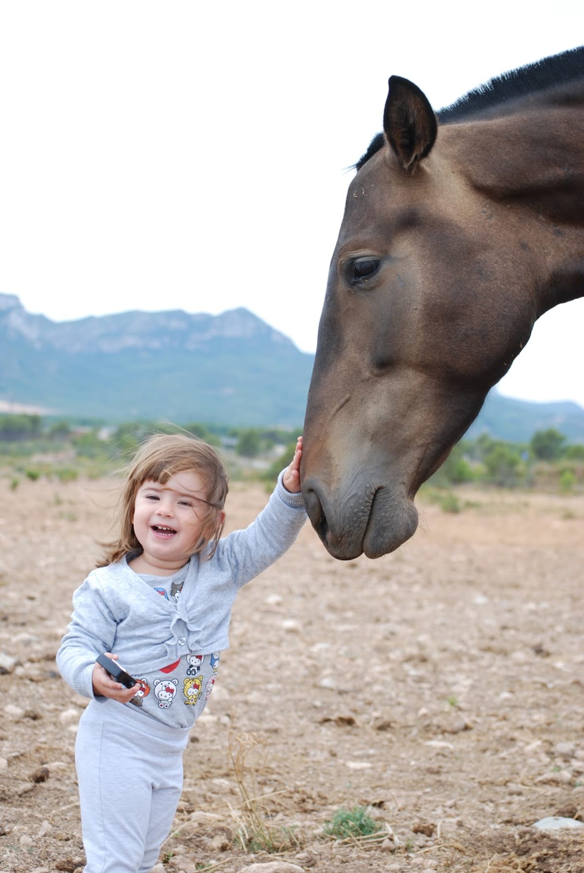 Club Hípic Miami - Montroig - Hipica in Miami Platja