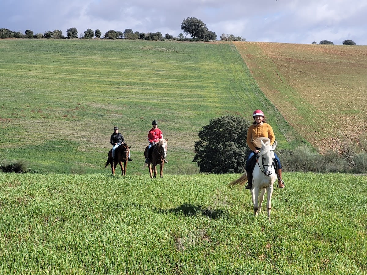 Centro Hípico Aires del Sur - Hipica en Marchamalo