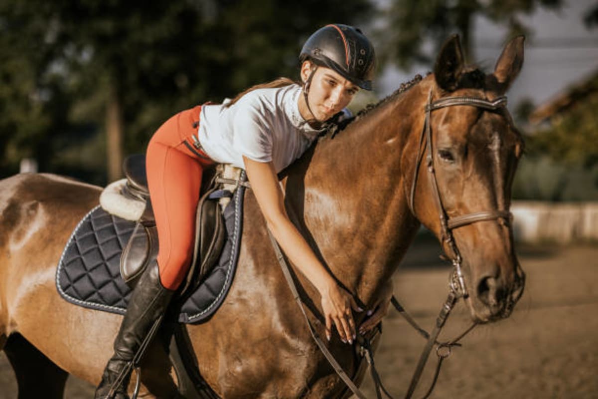 Poniclub Viracocha - Hipica en Colmenar Viejo