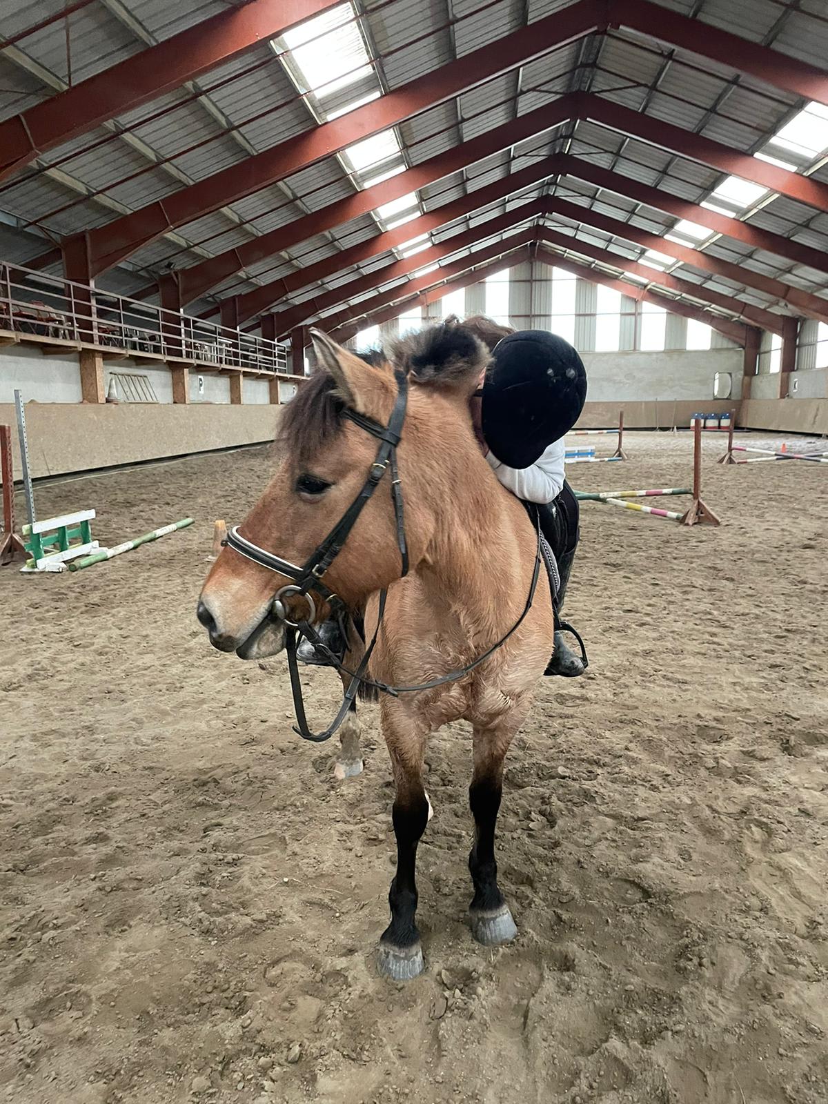FERME EQUESTRE DU MOULIAN - Hipica in Arrens-Marsous