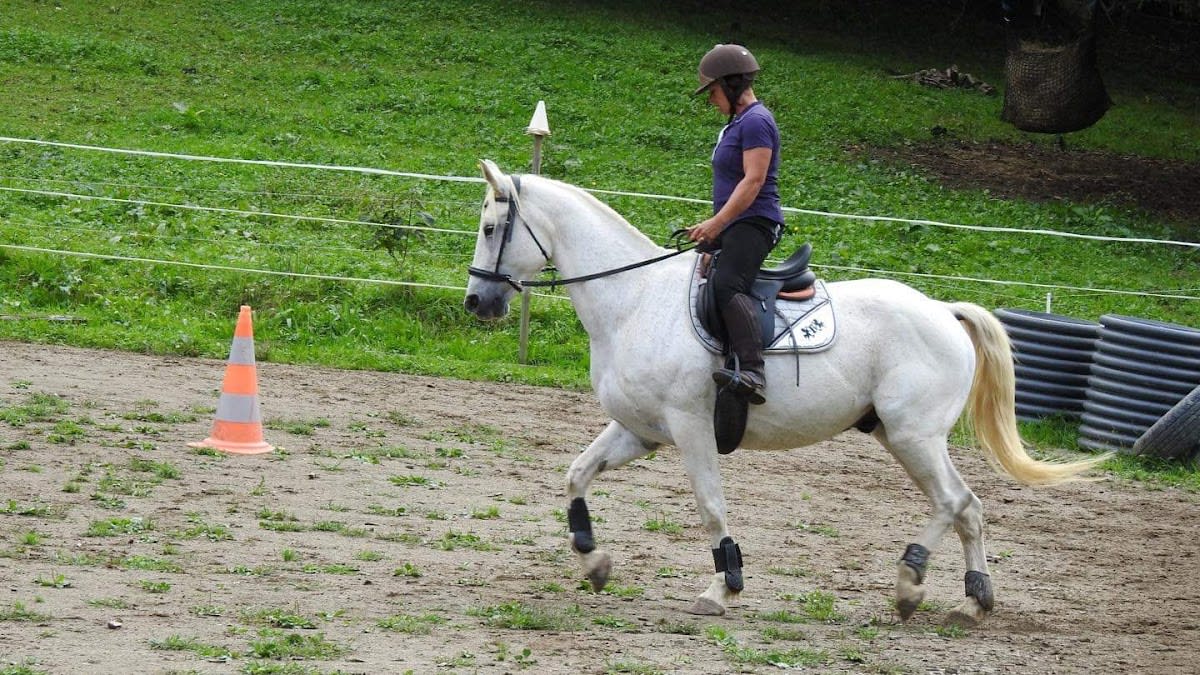 La Ferme Du Poney Fringant - Hipica in Saint-Pé-de-Bigorre