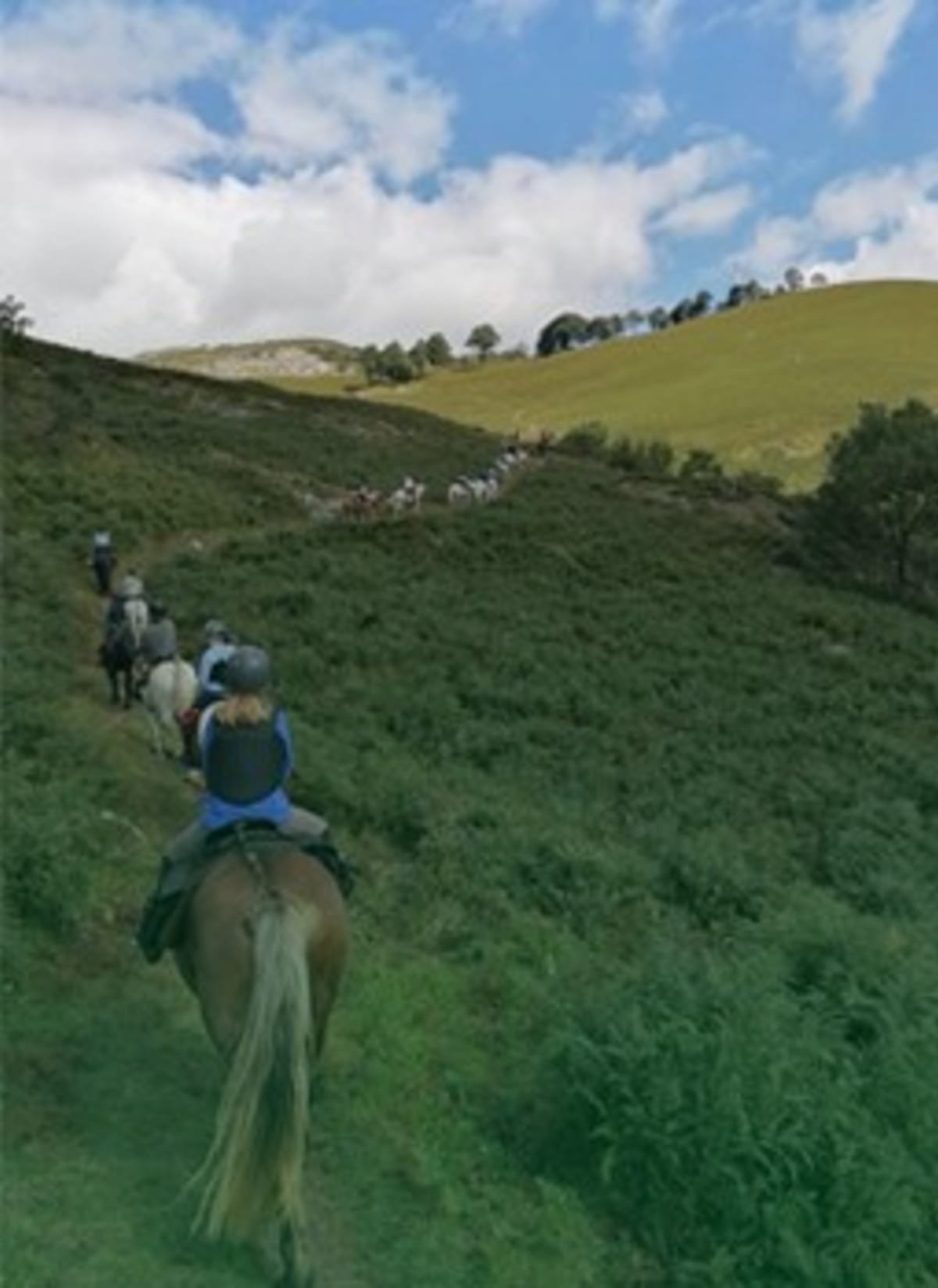 Ferme Couhet - Hipica in Montaut