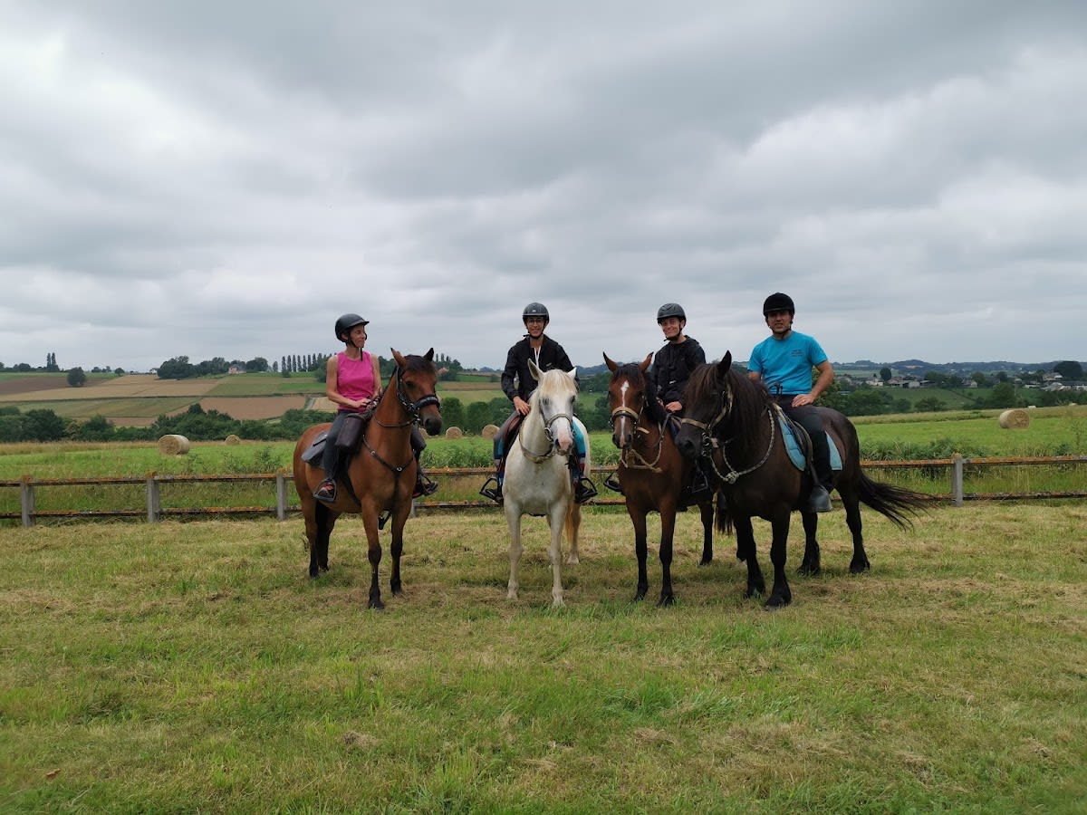 Horse Farm L'artigou - Hipica in Orignac