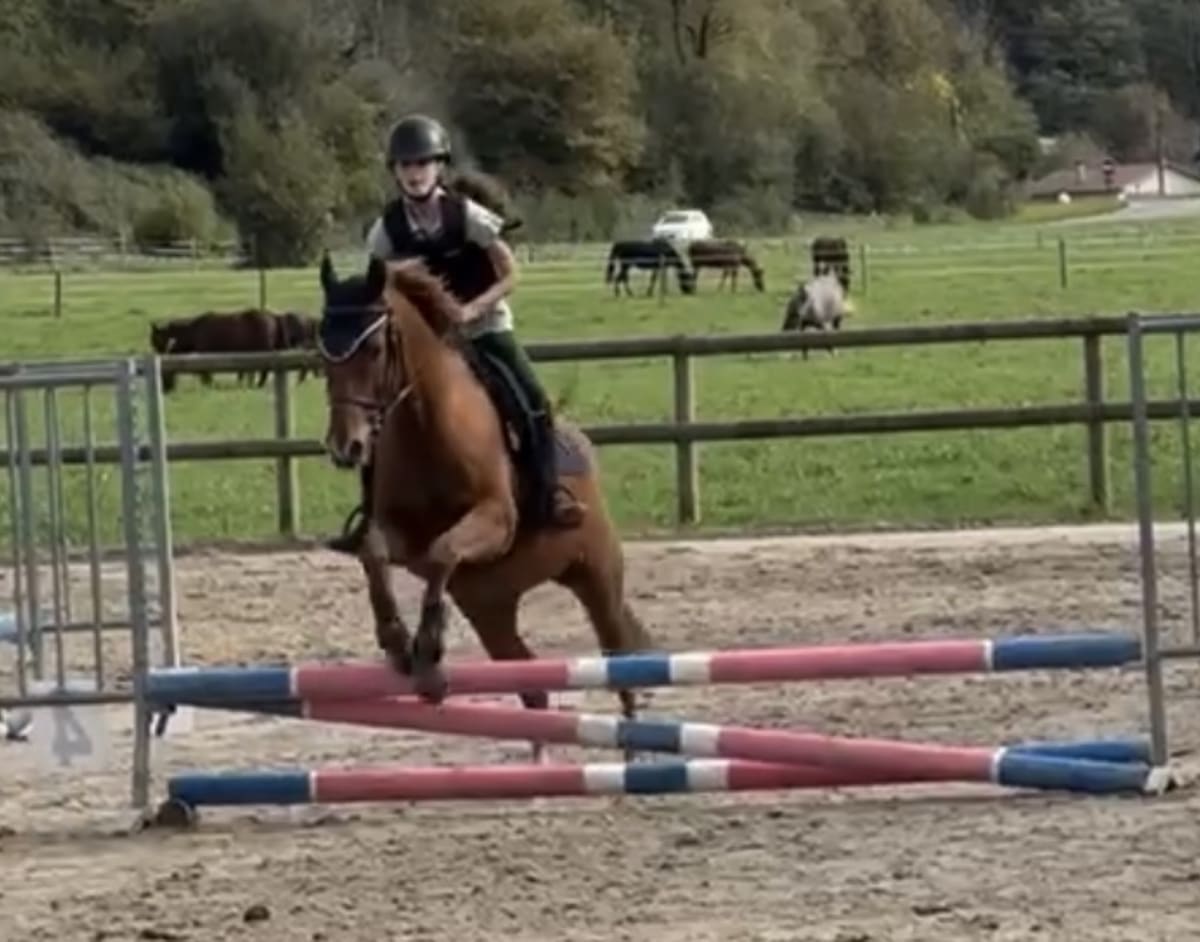 Equestrian Center D'assat - Hipica en Assat