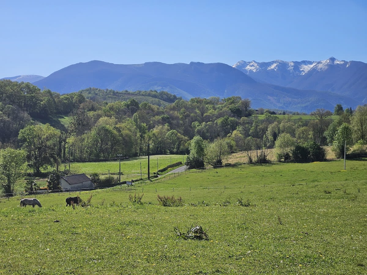 LYCEE TECH NAY BAUDREIX - Hipica em Nay