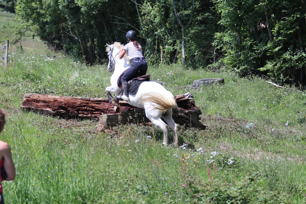 Parc D'aventures À Cheval - Hipica en Vielleségure