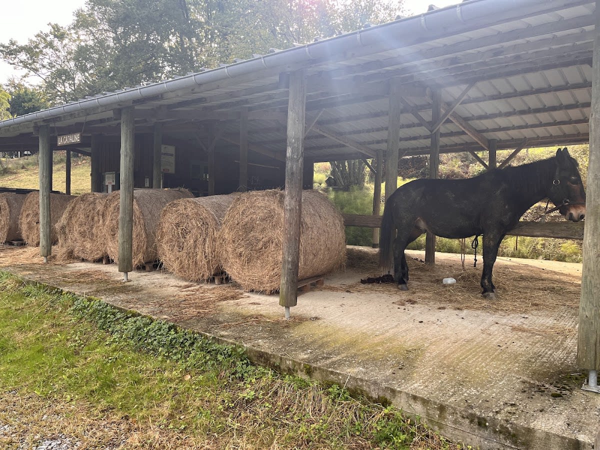 Beaudeant Jean Louis - Hipica in Aubertin