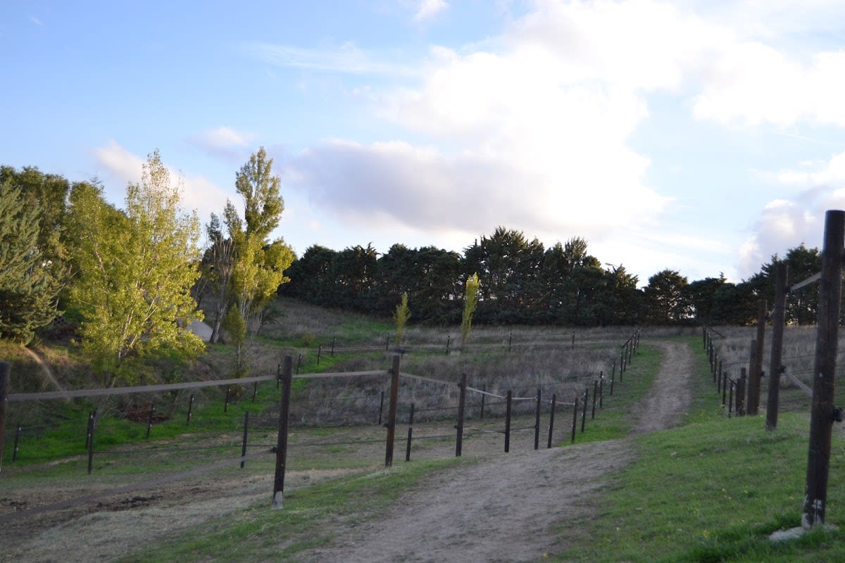 Yeguada del Mencey - Hipica en El Molar