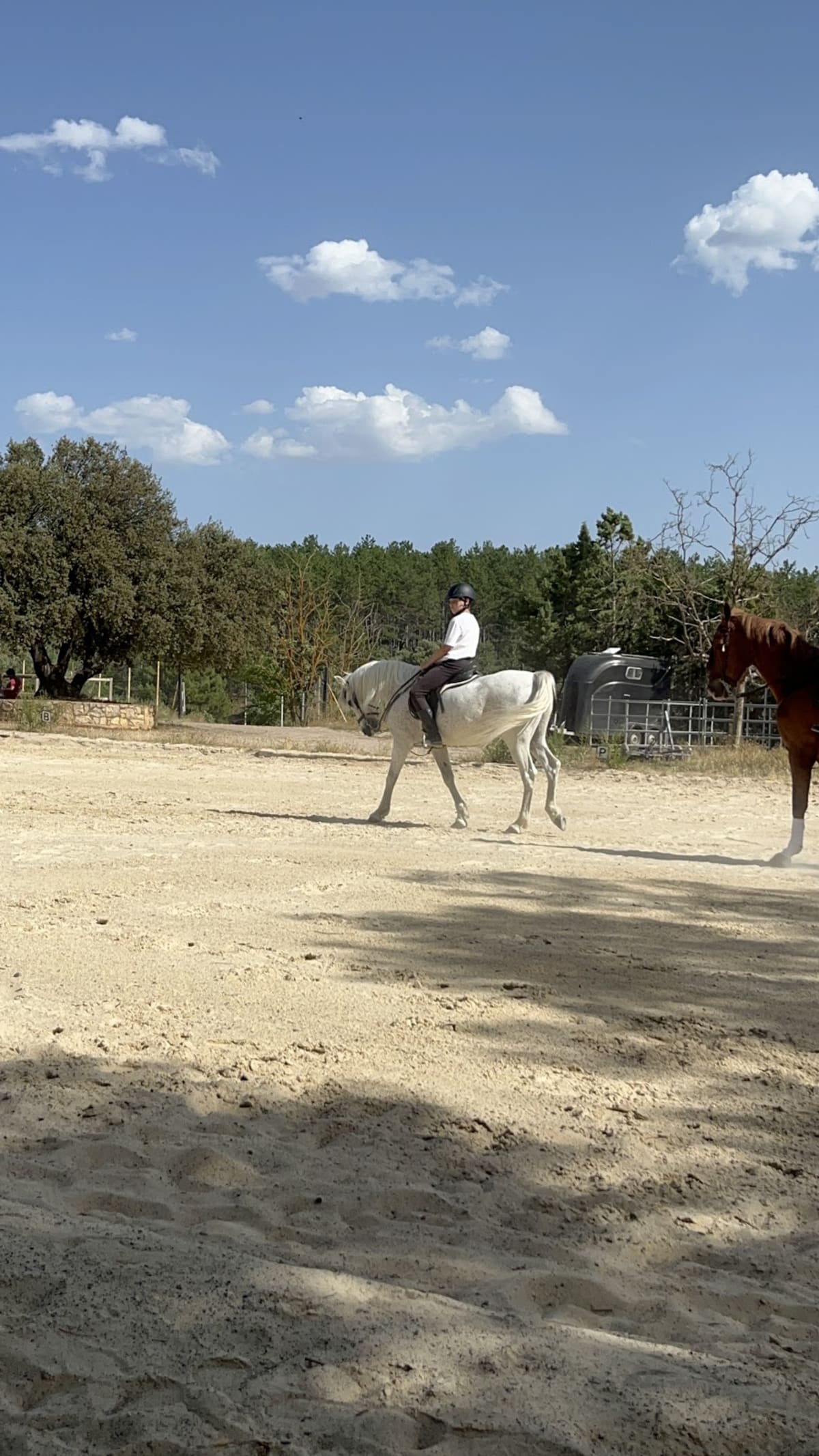 Yeguada Hermanos Civera Sánchez - Hipica em Teruel