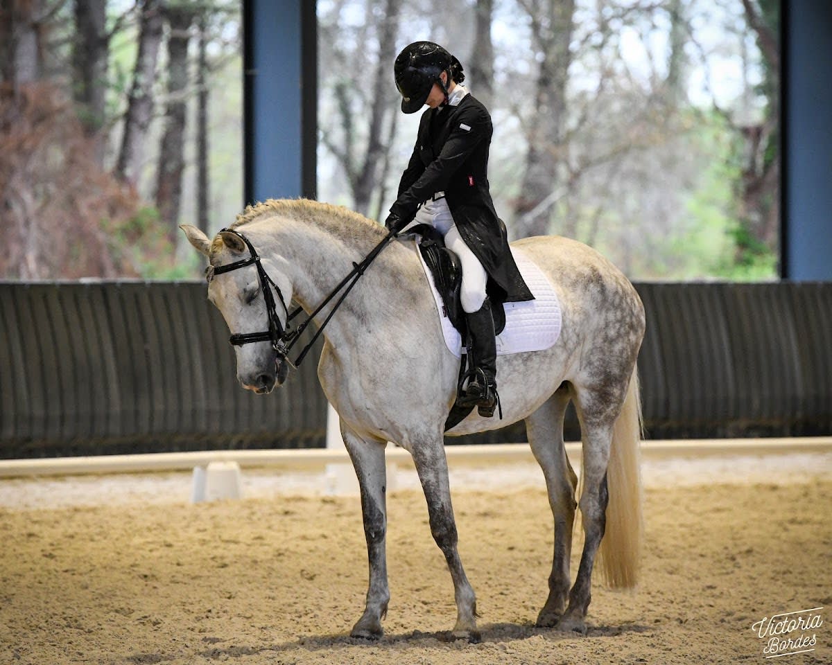 YEGUADA BERBA - Hipica in Lahourcade