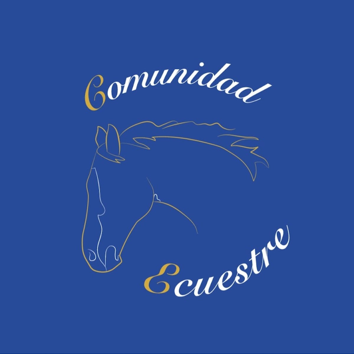comunidad ecuestre - Hipica em Horche