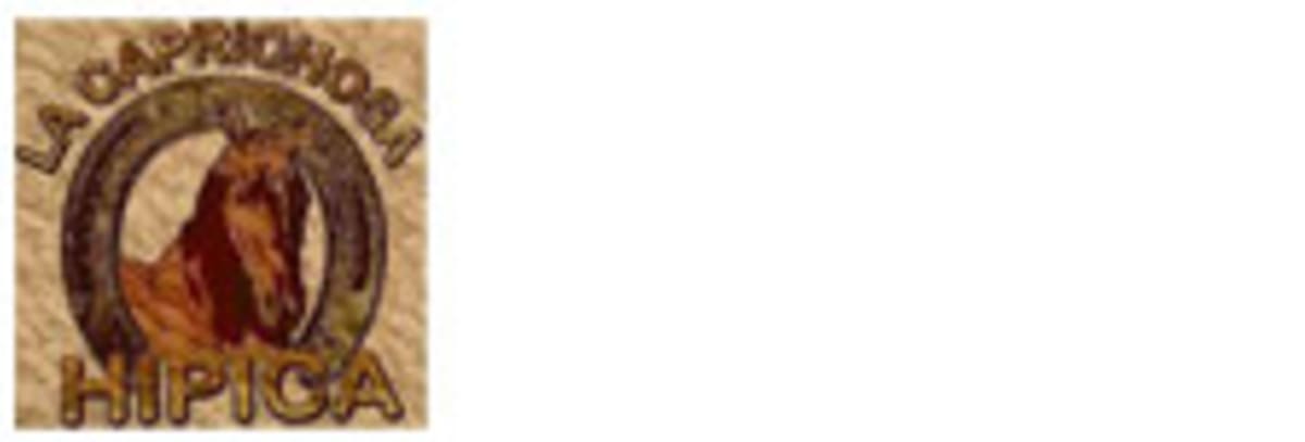 Hipica la Caprichosa - Hipica in Los Santos de la Humosa