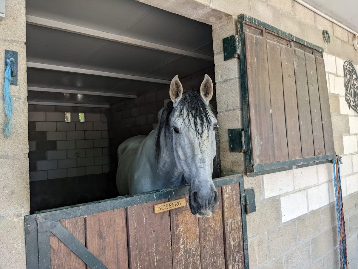 Centro hípico MIDIMAR - Hipica em Madrid