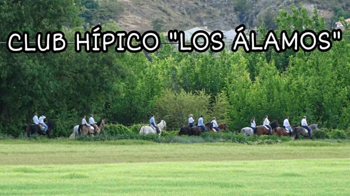 Club Hípico Los Álamos - Hipica em Tielmes